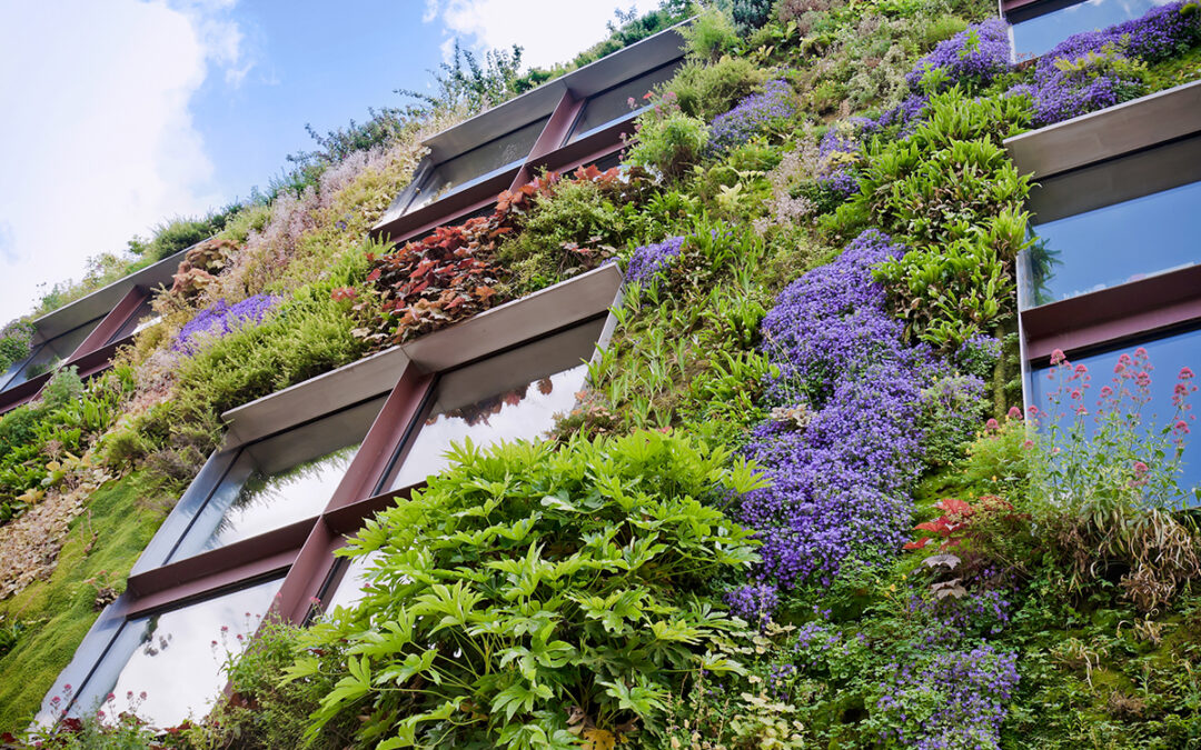 Vienna is blooming! Green facades for a better quality of life