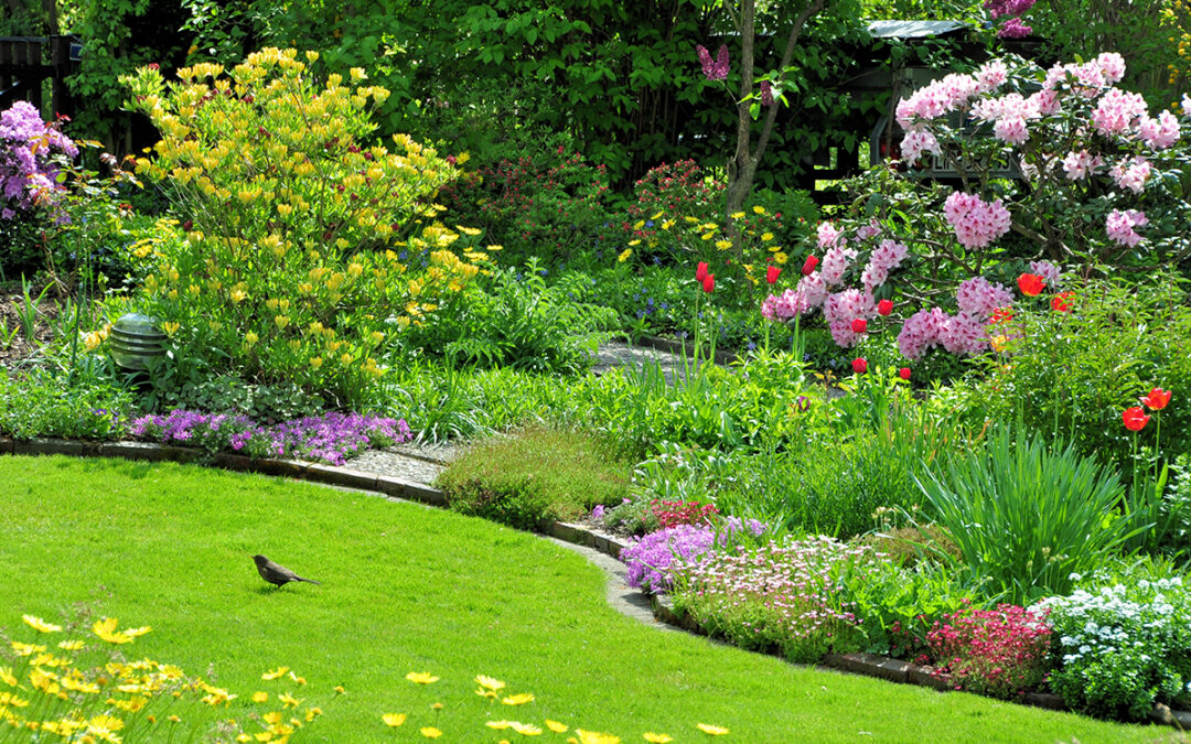 Tips in June for the garden