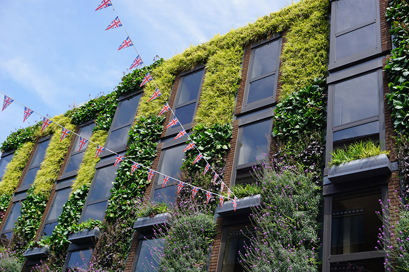 What are the advantages of a facade greening?