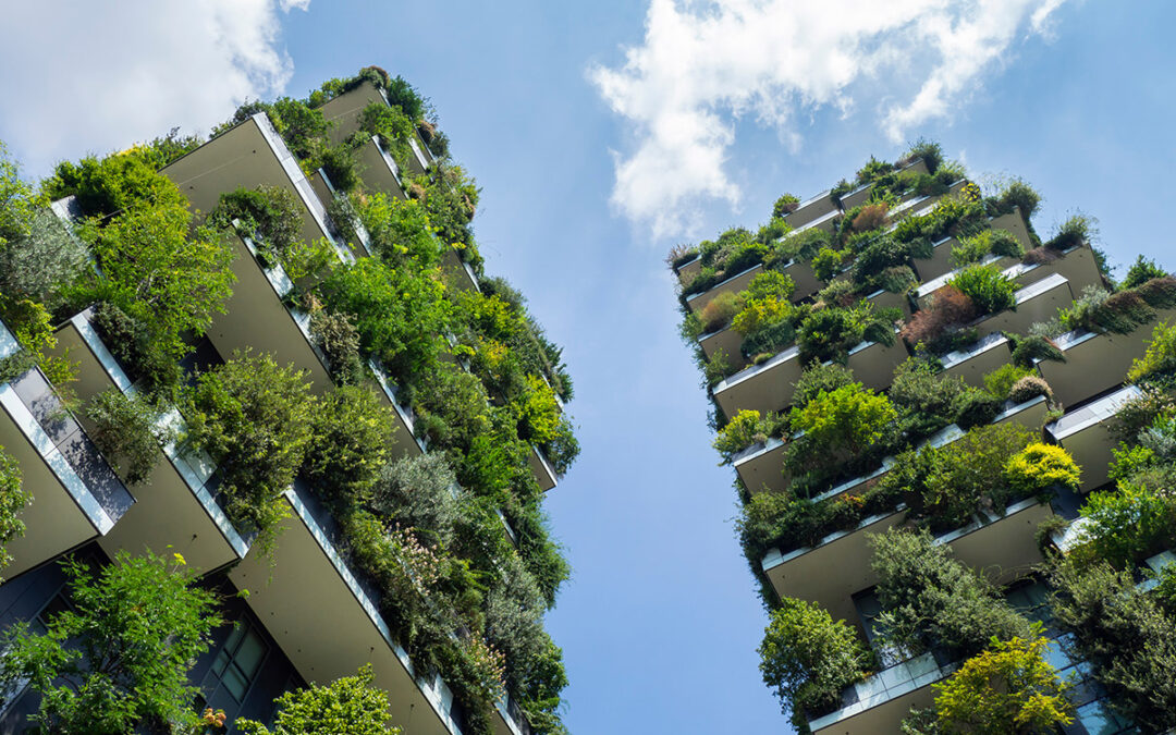 Green walls for a better urban climate
