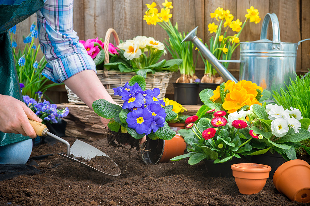 Die besten Tipps für Ihren Garten im Frühling!