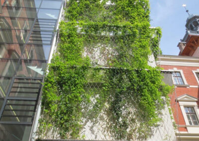 VERTICAL GREENING University of Natural Resources and Life Sciences Vienna