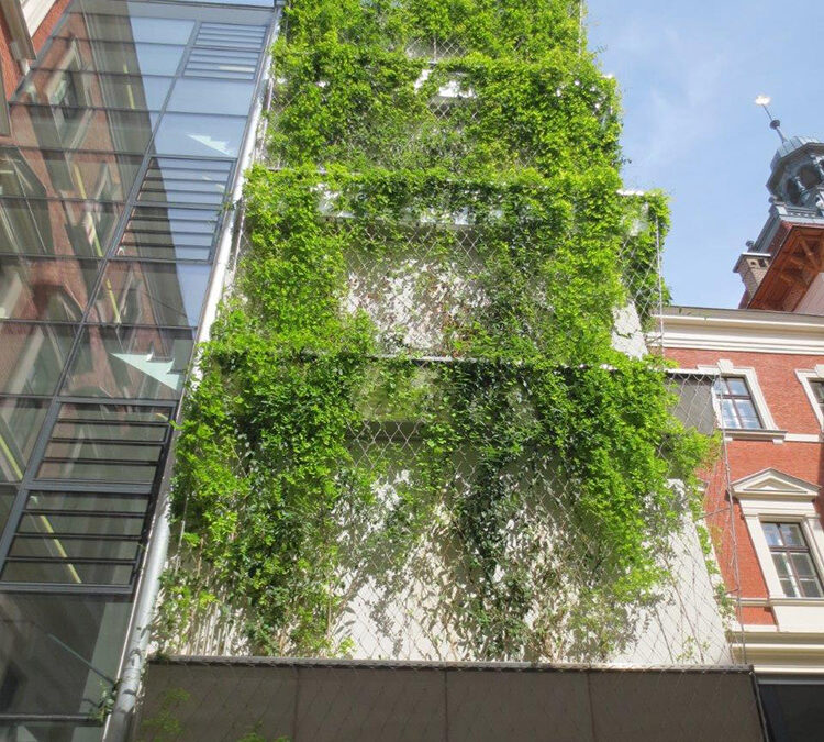 VERTICAL GREENING University of Natural Resources and Life Sciences Vienna