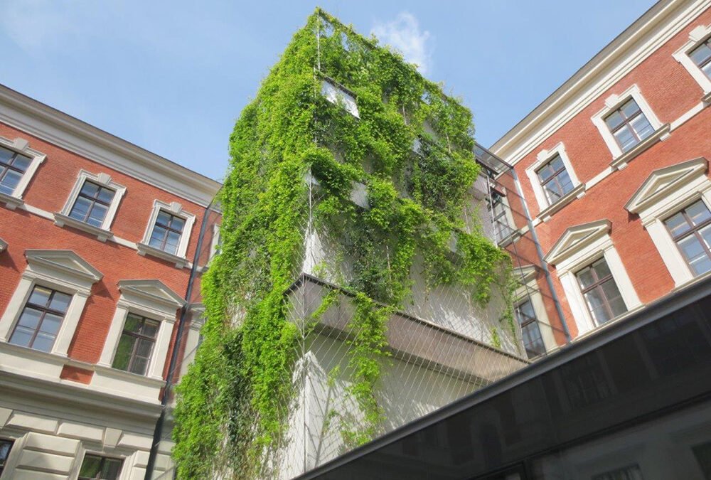 Vertikalbegrünung Natur trifft auf Architektur