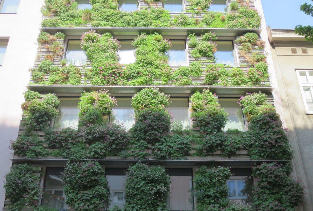 Facade greening as natural cooling