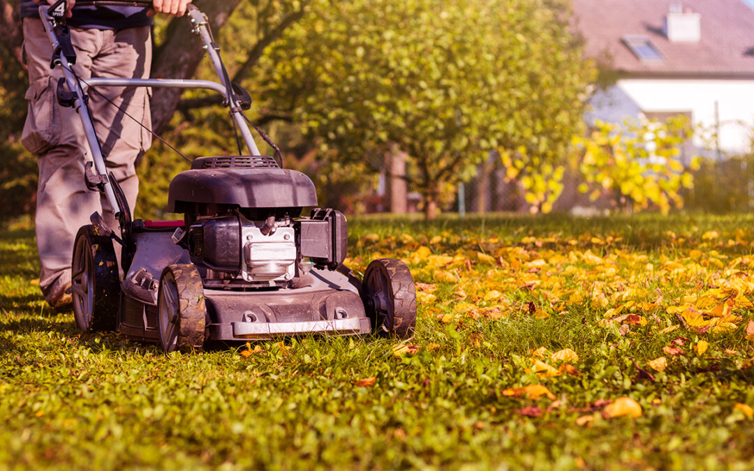 Tipps zur RASENPflege & Bewässerung im September