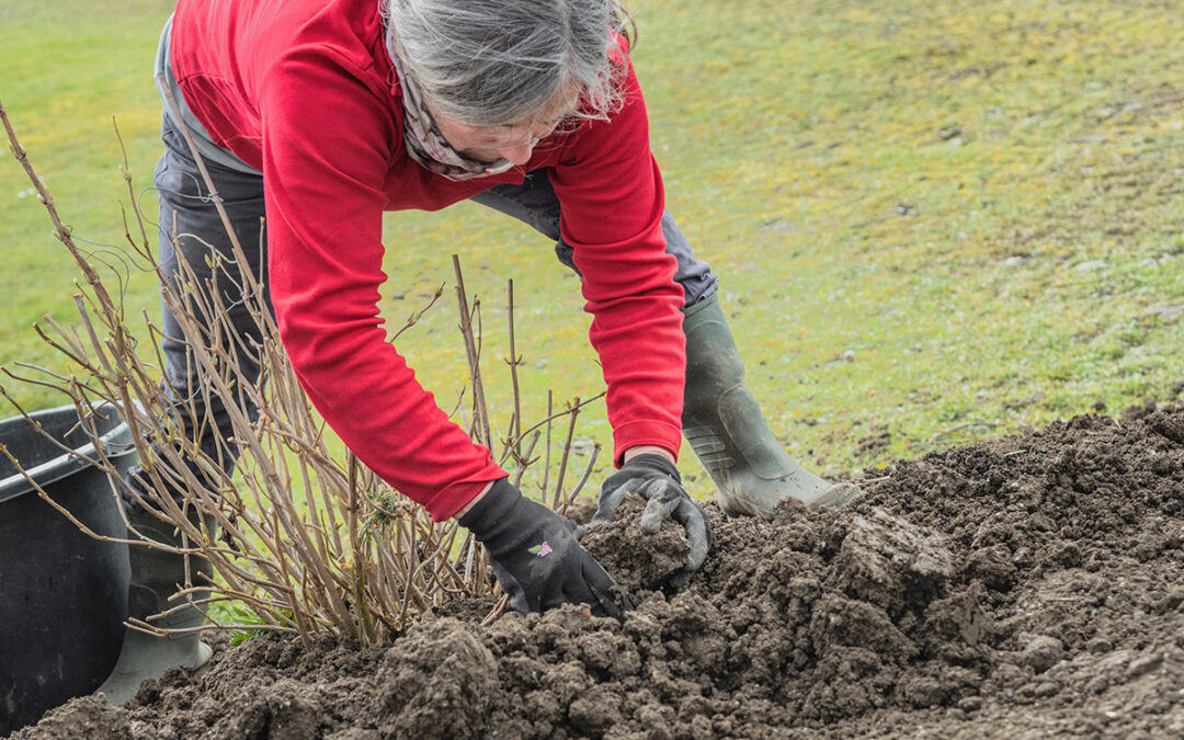 Start in die Gartensaison  Zeit, die Beete vorzubereiten