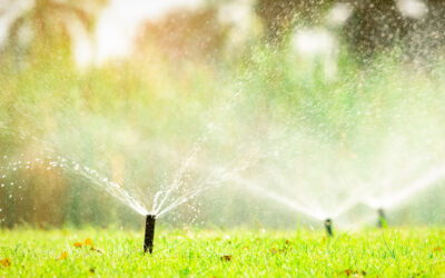 ✅ Winterize your irrigation system Simple step-by-step instructions