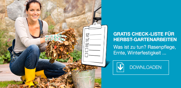 Der Garten im Herbst – Rasenpflege, Ernte und Winterfestigkeit