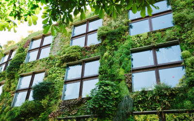 Grüne Architektur für klimafitte Städte