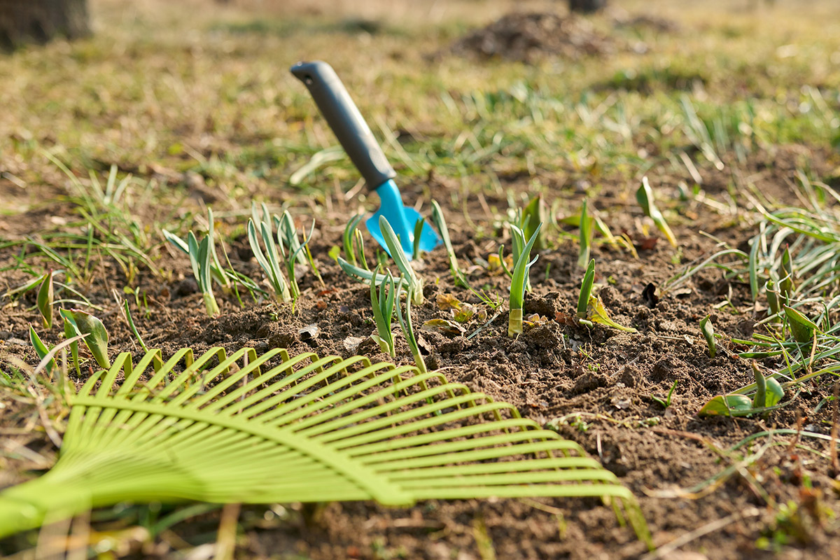 Diese Pflege bentigt der Rasen im Frhling - raintime