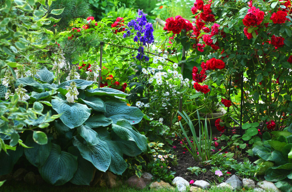Ihr Garten im MAI Tipps, Tricks & Gartenbewässerung