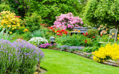 The best tips for beautiful flower beds!  ️