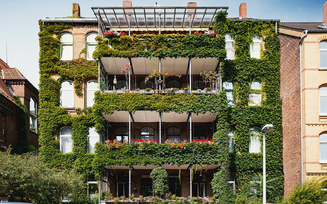Optimal irrigation for green facades