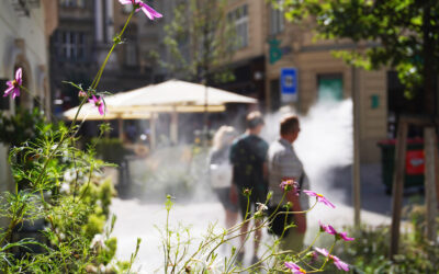 Das Schwammstadt-Prinzip: Lösungen für Städte im Hitzestress