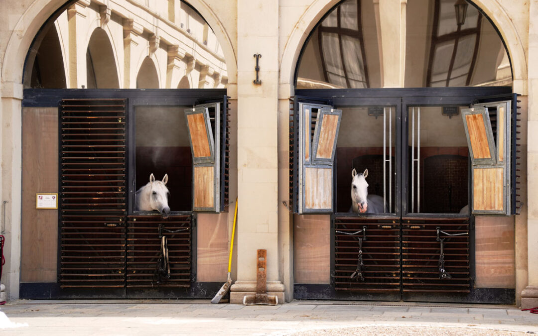 Raintime Nebelkühlung für die Spanische Hofreitschule in Wien
