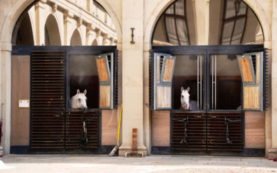 Raintime Nebeltechnologie in der Spanischen Hofreitschule