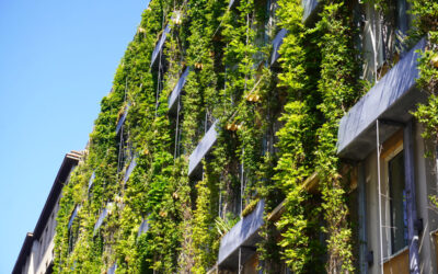 Bewässerung mit System – der Schlüssel zur Fassadenbegrünung