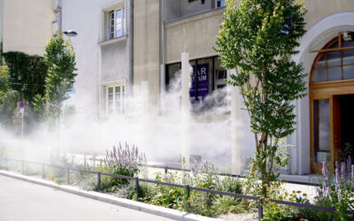 Klimafitte Stadtkühlung an der Wagramer Straße in Wien