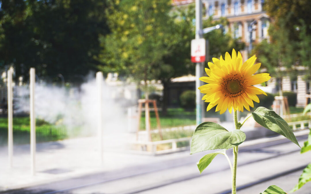 Raintime sorgt für Städtekühlung in der Wiener Thaliastraße am Klimaboulevard, Urban Cooling