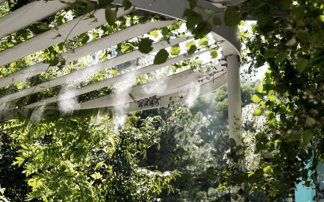 Nebel auf einem mit Pflanzen bewachsenem Pavillon